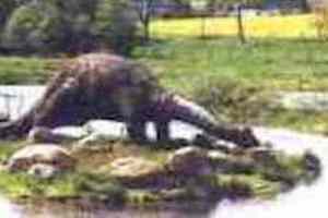 Freizeitpark Plohn